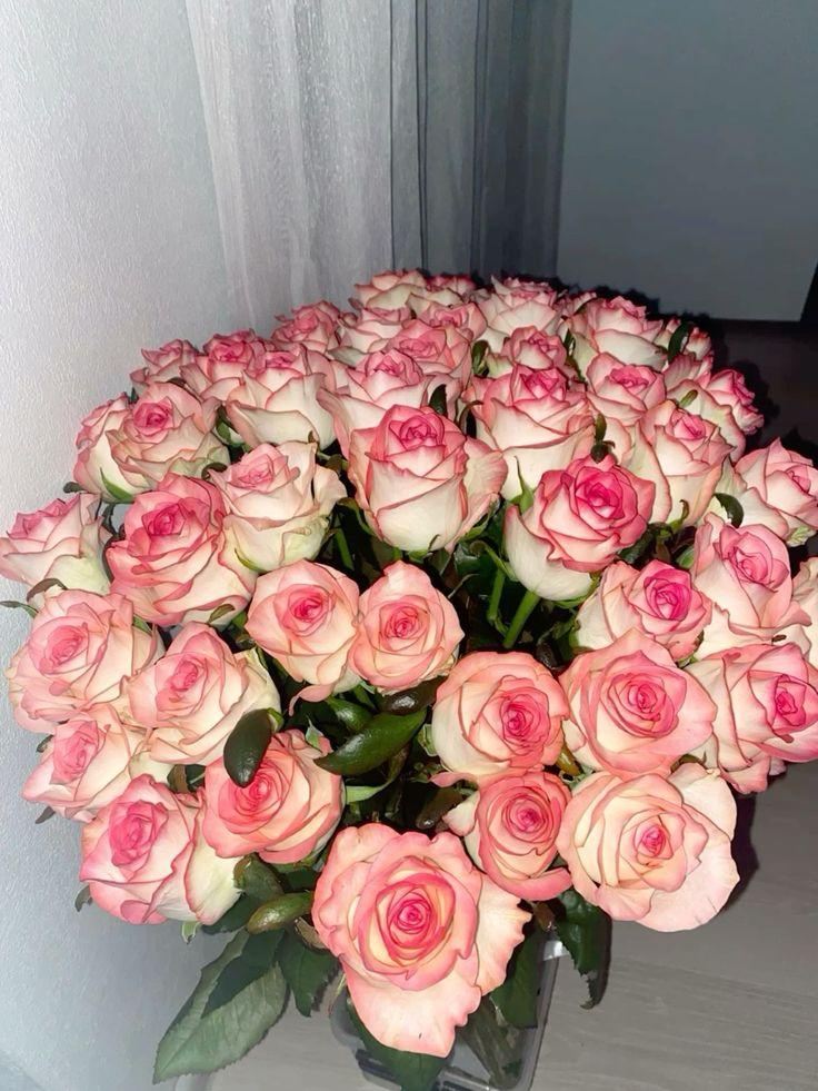 Eternal Spring: Vivid Blooms Harmony